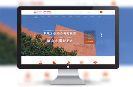品牌网站案例-湖南大学