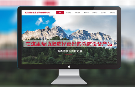 品牌网站案例-武汉恒智讯应急设备有限公司