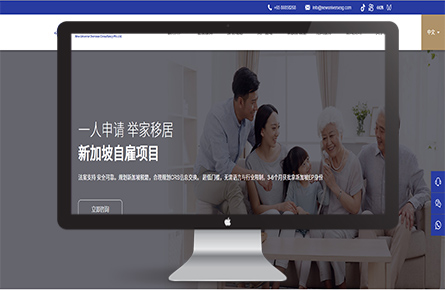 品牌网站案例-新加坡新大宇海外咨询