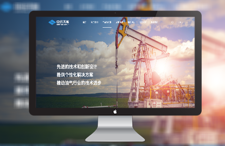 品牌网站案例-新疆中元天能油气科技股份有限公司