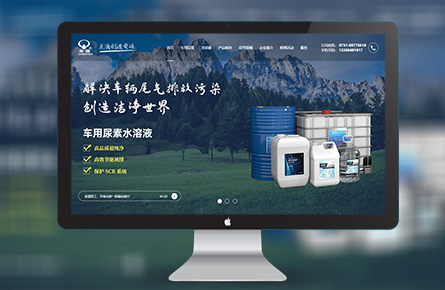 品牌网站案例-湖南车瑞科技股份有限公司
