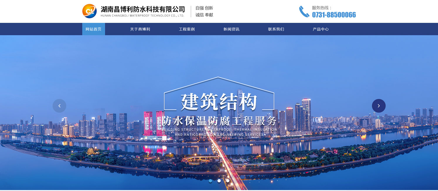 湖南网站建设案例