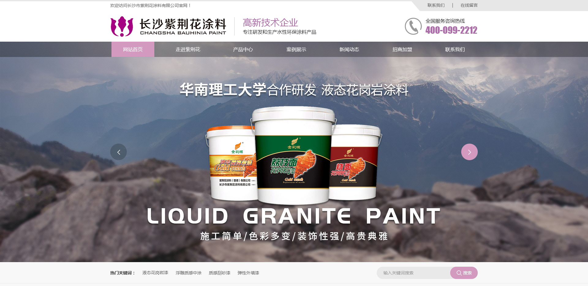 长沙网站建设案例