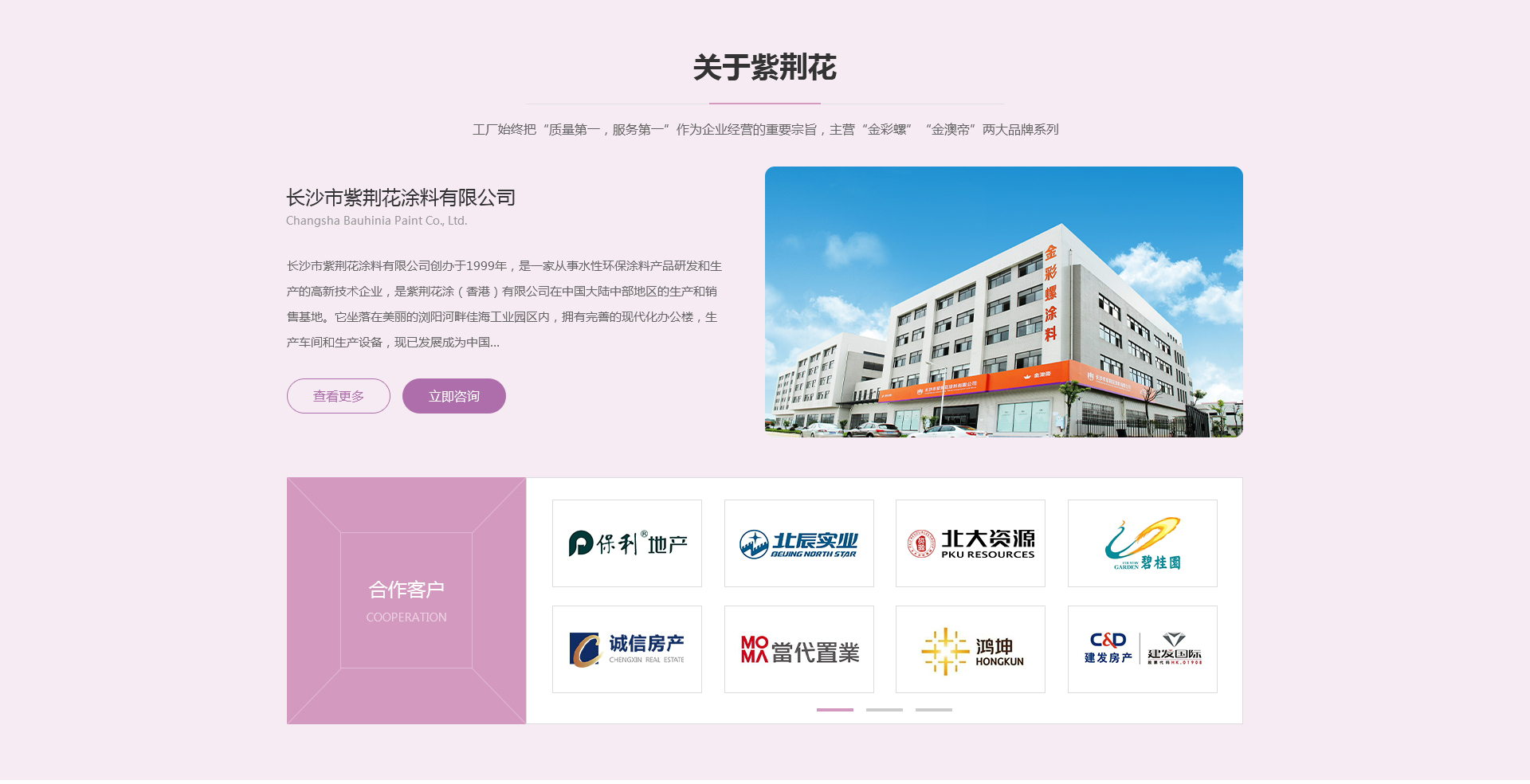 长沙网站建设案例